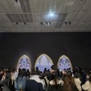 덕소대학동물약국 | 죽음 강박 작가 데이미언 허스트를 만나다(예약링크/주의점/공포작품&amp;동물보호단체거센반발작품 목록)