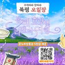 이동5일장 이미지