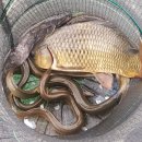 단돈낚시터 이미지