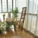 헤어파체 - 수성구 | [논현/강남구청역] 특별한 내모습을 예쁘게 남겨주는, 프로필사진잘찍는곳 그레이스튜디오