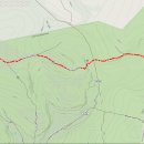Dolly Sods Bear Rocks Trail (100) 이미지