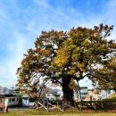 수암마을 전시관 이미지