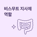 비스무트