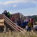 순천만풍경 이미지