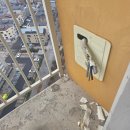 (주)해오름케어 | 독감과 위기가득했던 설날과 이사주간. 빨리 이사가고 싶아. 이집 기운이 다했나바.