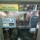 초양마루 | [여름휴가] 경남 사천 :: 사천바다케이블카 / 아라마루 아쿠아리움