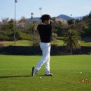 테디밸리CC | 제주도 골프 추천 명문 회원제 골프장 제주 테디밸리cc 예약 후기