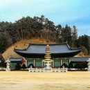 해동불교 이미지