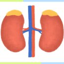 콩콩팥팥내과의원 이미지