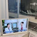 서울치과병원 | 서울 압구정 케어덴 동물치과병원 강아지 스케일링 및 발치 후기 🦷