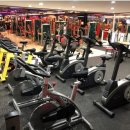 VIP헬스클럽 이미지