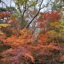 수덕사 선미술관 이미지