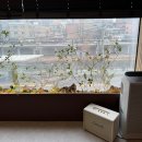 신림역 4번출구 뒤 | [신림역두피관리] 아늑 에스테틱&amp;헤드스파에서 힐링스파 받은 후기