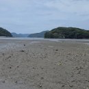 탑포어촌체험휴양마을 | 경상도 거제 갯벌체험 장소 및 해루질 포인트 알려드립니다.