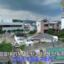 다모아부동산중개 티스토리