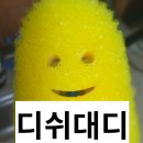 우대디마켓 | 디쉬대디 클리닝 스틱 후기 - 허리 안굽히고 설거지를?