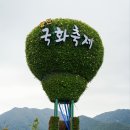 중부-현장-중부-275 | 양산 가을 여행 황산공원 양산 국화축제 기본정보 주차장