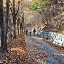 4가지 계절_오서산 하늘비 공주 생가 방문 2024/11/16 이미지