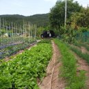 이글농장 이미지