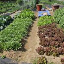 지인스마트팜 이미지