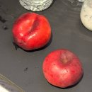 국민은행 파리공원지점 옆 | 환상적이었던제목없음파리여행 후기 + 파리 르꼬르동블루 연수 끝!!