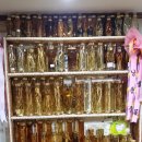 약초랑 닭이랑 이미지