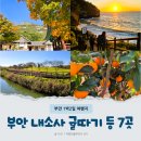 나만의 새활용 가죽 소품 만들기 | 부안 1박2일 여행지 내소사 등 관광지 체험농장 만들기체험 포함