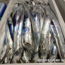 장원갈치 Daum카페
