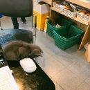 알파고당구클럽 이미지