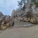 삼척로즈밸리가족독채커플