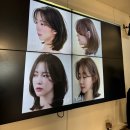 함성소리컴퍼니