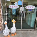 신양오리 이미지