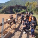 고전초등학교 이미지