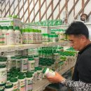 고성군 6 이미지