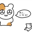 궁바베큐