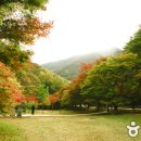 시산교차로 이미지