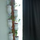 행복한 정원 이미지