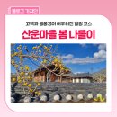 나포농기구수리센타 | 의성 봄 여행지 추천 :: 노란 산수유가 반겨주는 고택 나들이 '산운마을'