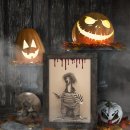 체크인독 애견유치원 이미지