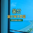 콩이네만화카페 | 울산호텔 머큐어앰베서더울산 (슈페리어더블 파셜오션뷰)