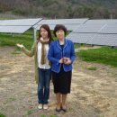 수당 태양광발전소 이미지