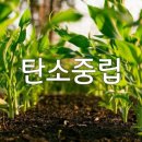 비지에이치(BGH)