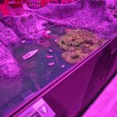 무궁화어린이공원 | [해치파파스-3월후기] 폴리어린이교통공원과 화랑대철도공원