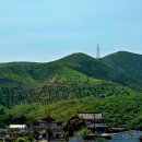 남양3리 이미지