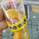 봉래초등학교 | 봉래초수영장에서 플립턴 특강 수강후기_수영원츄, 이세준 선생님 / 모두의 회고