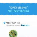 당산수약국 이미지