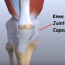 한창한방병원 이미지