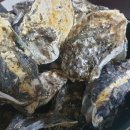 금광수산 이미지