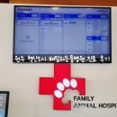 패밀리동물병원 - 원주시 봄마중길 2-4 | 패밀리동물병원
