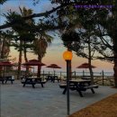 제주도 게스트하우스 파티 빅썸 | [제주도 숙소 호텔 펜션 리조트 추천!] 제주도게스트하우스파티 빅썸 제주도게스트하우스파티 빅썸...